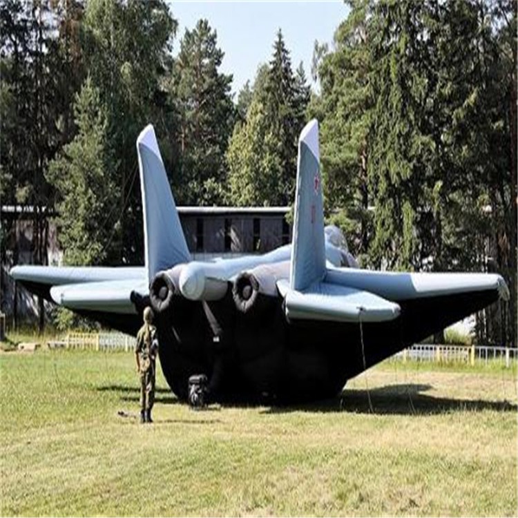 湖北充气飞机模型
